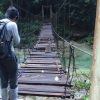 熱帯植物マレー半島トレンガヌ州の森への吊り橋 現地画像
