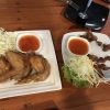 熱帯植物 猫と飯とバッタ Thailand
