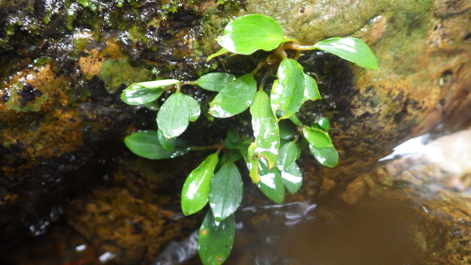 IMGP0047